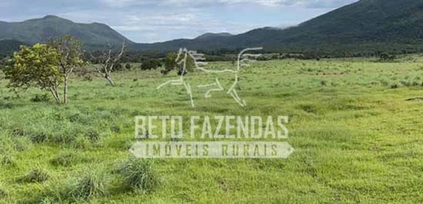 Extraordinária Fazenda para Pecuária à Venda 2.725 hectares  | Monte Alegre de Goiás/ GO