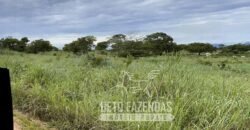 Extraordinária Fazenda para Pecuária à Venda 2.725 hectares  | Monte Alegre de Goiás/ GO