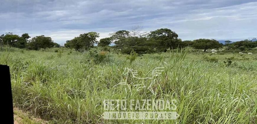 Extraordinária Fazenda para Pecuária à Venda 2.725 hectares  | Monte Alegre de Goiás/ GO