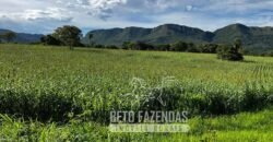 Extraordinária Fazenda para Pecuária à Venda 2.725 hectares  | Monte Alegre de Goiás/ GO