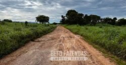 Extraordinária Fazenda para Pecuária à Venda 2.725 hectares  | Monte Alegre de Goiás/ GO