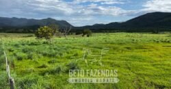 Extraordinária Fazenda para Pecuária à Venda 2.725 hectares  | Monte Alegre de Goiás/ GO