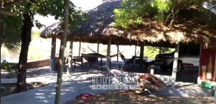 Extraordinária Fazenda para Pecuária à Venda 2.725 hectares  | Monte Alegre de Goiás/ GO