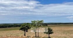 Excelente Fazenda à Venda 3.840 hectares para Produção Agrícola | Sinop/ MT