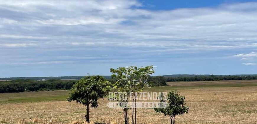 Excelente Fazenda à Venda 3.840 hectares para Produção Agrícola | Sinop/ MT
