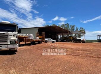 Excelente Fazenda à Venda 3.840 hectares para Produção Agrícola | Sinop/ MT