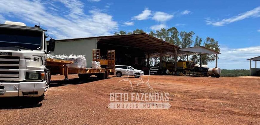 Excelente Fazenda à Venda 3.840 hectares para Produção Agrícola | Sinop/ MT