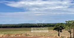 Excelente Fazenda à Venda 3.840 hectares para Produção Agrícola | Sinop/ MT