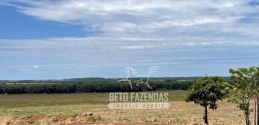 Excelente Fazenda à Venda 3.840 hectares para Produção Agrícola | Sinop/ MT