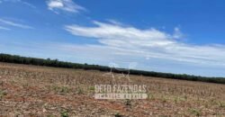 Excelente Fazenda à Venda 3.840 hectares para Produção Agrícola | Sinop/ MT