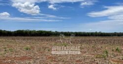 Excelente Fazenda à Venda 3.840 hectares para Produção Agrícola | Sinop/ MT