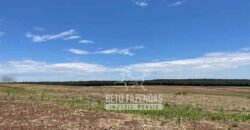 Excelente Fazenda à Venda 3.840 hectares para Produção Agrícola | Sinop/ MT
