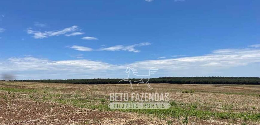 Excelente Fazenda à Venda 3.840 hectares para Produção Agrícola | Sinop/ MT