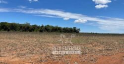Extraordinária Fazenda à Venda 15.630 has em Ipiranga Próxima a Sinop | Ipiranga/ MT
