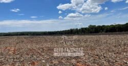 Extraordinária Fazenda à Venda 15.630 has em Ipiranga Próxima a Sinop | Ipiranga/ MT