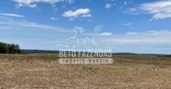 Extraordinária Fazenda à Venda 15.630 has em Ipiranga Próxima a Sinop | Ipiranga/ MT