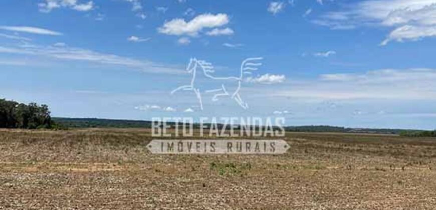 Extraordinária Fazenda à Venda 15.630 has em Ipiranga Próxima a Sinop | Ipiranga/ MT