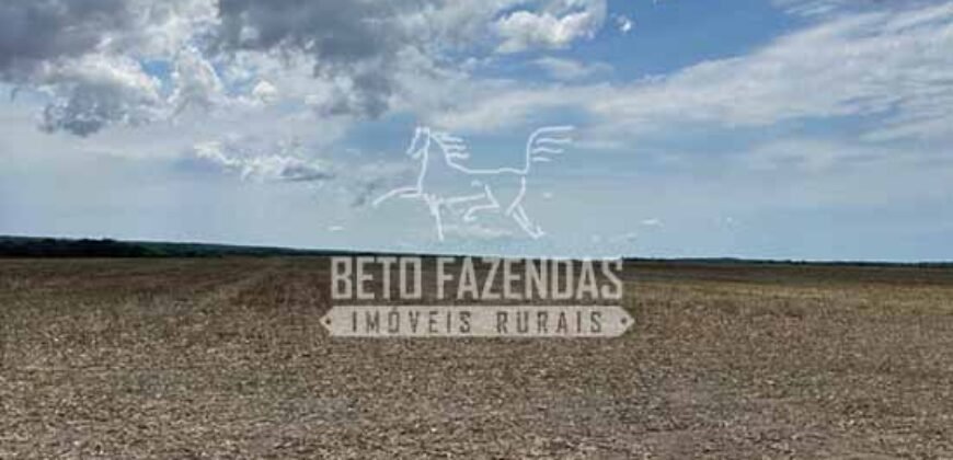 Extraordinária Fazenda à Venda 15.630 has em Ipiranga Próxima a Sinop | Ipiranga/ MT