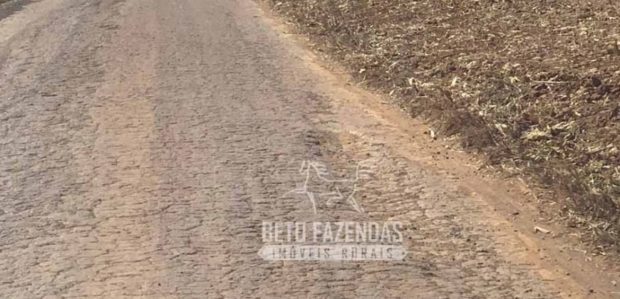 Extraordinária Fazenda à Venda 15.630 has em Ipiranga Próxima a Sinop | Ipiranga/ MT