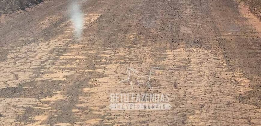 Extraordinária Fazenda à Venda 15.630 has em Ipiranga Próxima a Sinop | Ipiranga/ MT