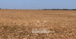 Extraordinária Fazenda à Venda 15.630 has em Ipiranga Próxima a Sinop | Ipiranga/ MT