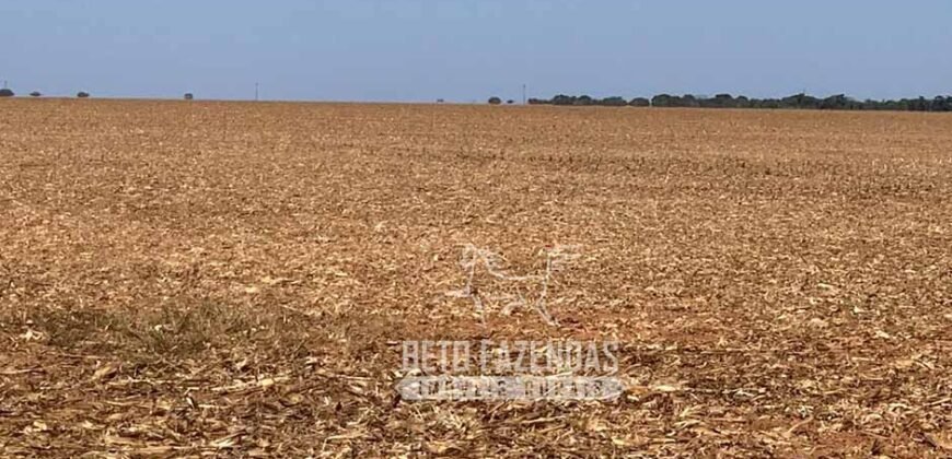 Extraordinária Fazenda à Venda 15.630 has em Ipiranga Próxima a Sinop | Ipiranga/ MT