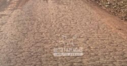 Extraordinária Fazenda à Venda 15.630 has em Ipiranga Próxima a Sinop | Ipiranga/ MT