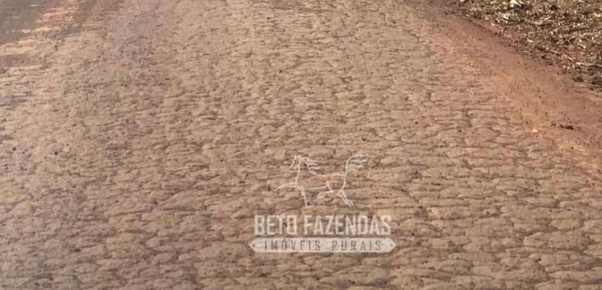 Extraordinária Fazenda à Venda 15.630 has em Ipiranga Próxima a Sinop | Ipiranga/ MT