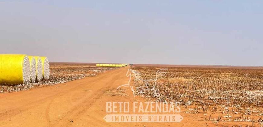 Extraordinária Fazenda à Venda 15.630 has em Ipiranga Próxima a Sinop | Ipiranga/ MT