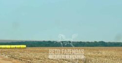 Extraordinária Fazenda à Venda 15.630 has em Ipiranga Próxima a Sinop | Ipiranga/ MT