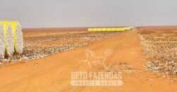 Extraordinária Fazenda à Venda 15.630 has em Ipiranga Próxima a Sinop | Ipiranga/ MT