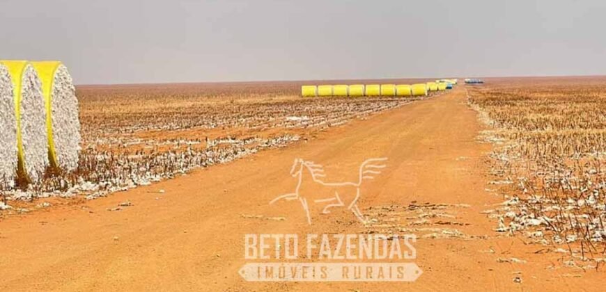 Extraordinária Fazenda à Venda 15.630 has em Ipiranga Próxima a Sinop | Ipiranga/ MT