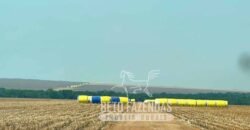 Extraordinária Fazenda à Venda 15.630 has em Ipiranga Próxima a Sinop | Ipiranga/ MT