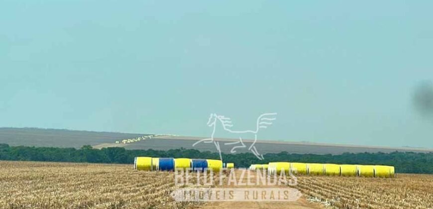 Extraordinária Fazenda à Venda 15.630 has em Ipiranga Próxima a Sinop | Ipiranga/ MT