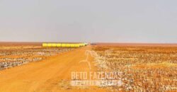 Extraordinária Fazenda à Venda 15.630 has em Ipiranga Próxima a Sinop | Ipiranga/ MT