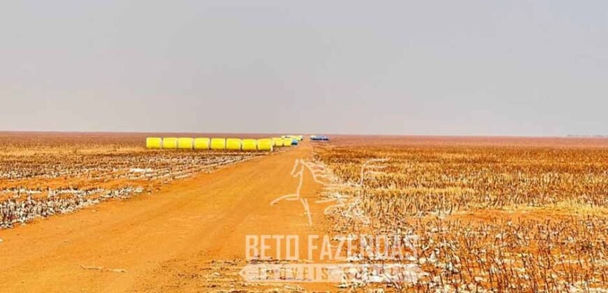 Extraordinária Fazenda à Venda 15.630 has em Ipiranga Próxima a Sinop | Ipiranga/ MT