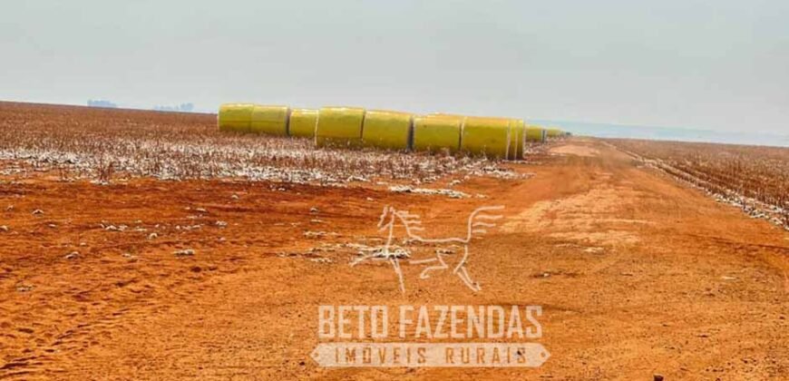 Extraordinária Fazenda à Venda 15.630 has em Ipiranga Próxima a Sinop | Ipiranga/ MT