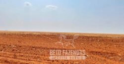 Extraordinária Fazenda à Venda 15.630 has em Ipiranga Próxima a Sinop | Ipiranga/ MT