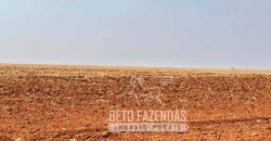 Extraordinária Fazenda à Venda 15.630 has em Ipiranga Próxima a Sinop | Ipiranga/ MT