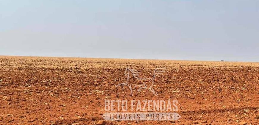 Extraordinária Fazenda à Venda 15.630 has em Ipiranga Próxima a Sinop | Ipiranga/ MT