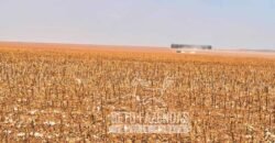 Extraordinária Fazenda à Venda 15.630 has em Ipiranga Próxima a Sinop | Ipiranga/ MT