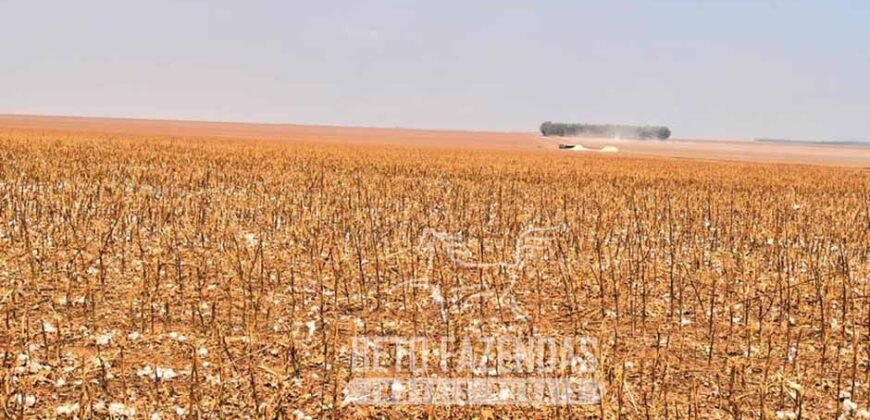 Extraordinária Fazenda à Venda 15.630 has em Ipiranga Próxima a Sinop | Ipiranga/ MT