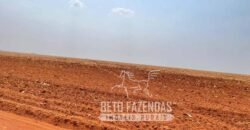 Extraordinária Fazenda à Venda 15.630 has em Ipiranga Próxima a Sinop | Ipiranga/ MT