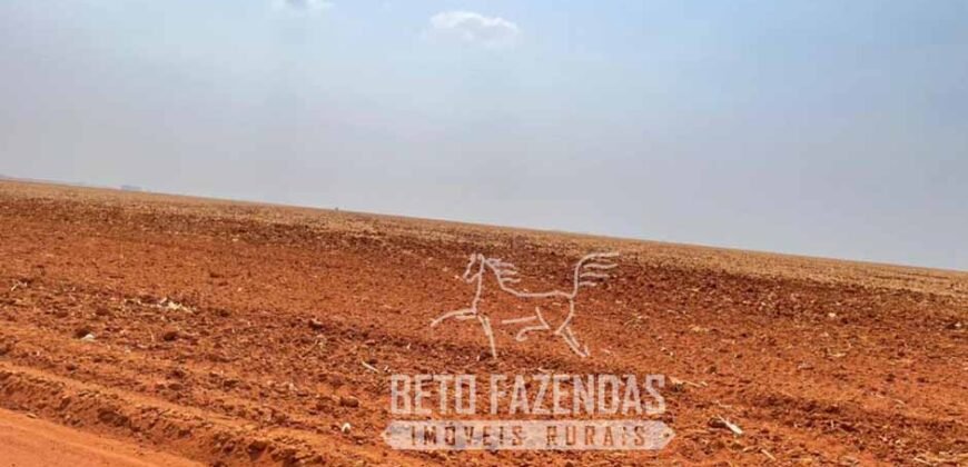 Extraordinária Fazenda à Venda 15.630 has em Ipiranga Próxima a Sinop | Ipiranga/ MT