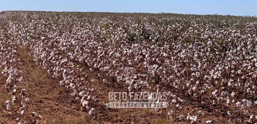 Extraordinária Fazenda à Venda 15.630 has em Ipiranga Próxima a Sinop | Ipiranga/ MT