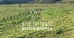 Excelente Fazenda 84 alqueires para Pecuária à Venda | Silva Jardim/ RJ