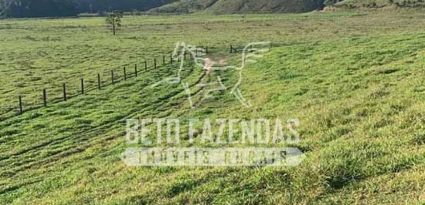 Excelente Fazenda 84 alqueires para Pecuária à Venda | Silva Jardim/ RJ