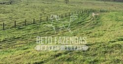 Excelente Fazenda 84 alqueires para Pecuária à Venda | Silva Jardim/ RJ