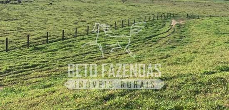 Excelente Fazenda 84 alqueires para Pecuária à Venda | Silva Jardim/ RJ