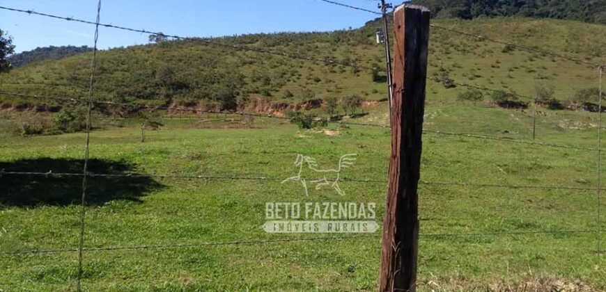 Excelente Fazenda 84 alqueires para Pecuária à Venda | Silva Jardim/ RJ